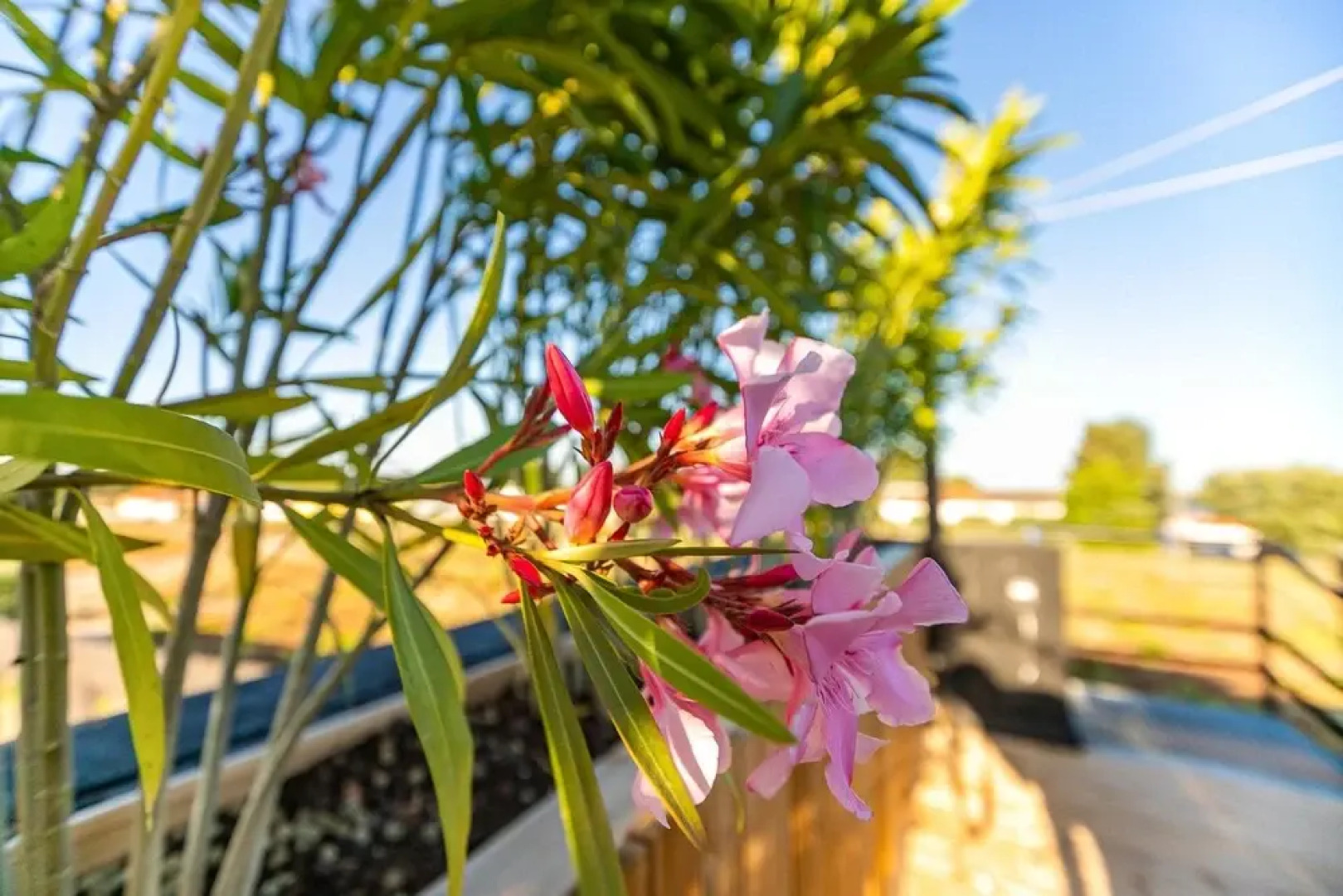 Property With one Bedroom in Setubal, With Wonderful sea View, Pool Access, Enclosed Garden - 19 km From the Beach