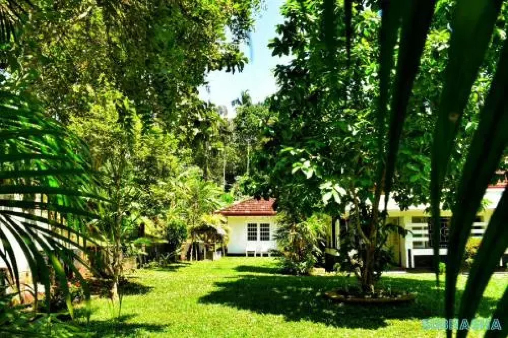 Subhasha Summer Cottage