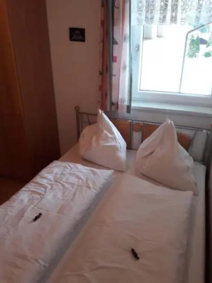 Ferienwohnung Kupfer