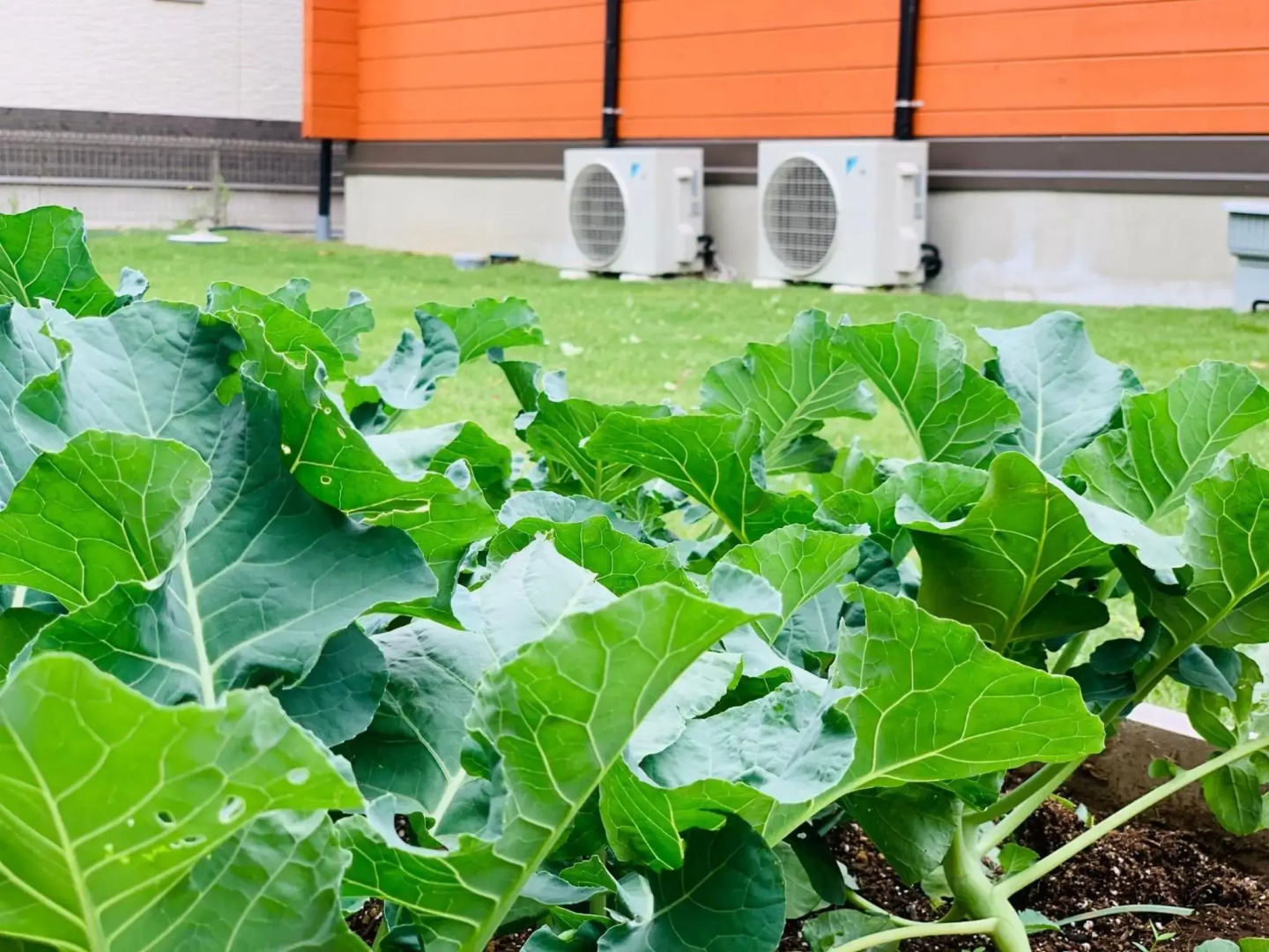 TanTei / Vacation STAY 5504