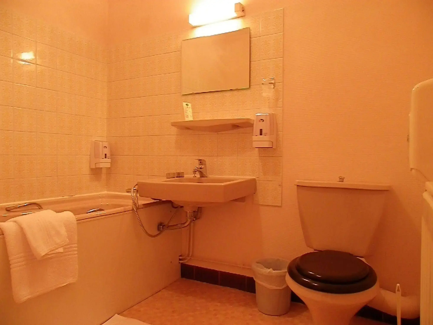 Hôtel Le Lyon Vert Commentry