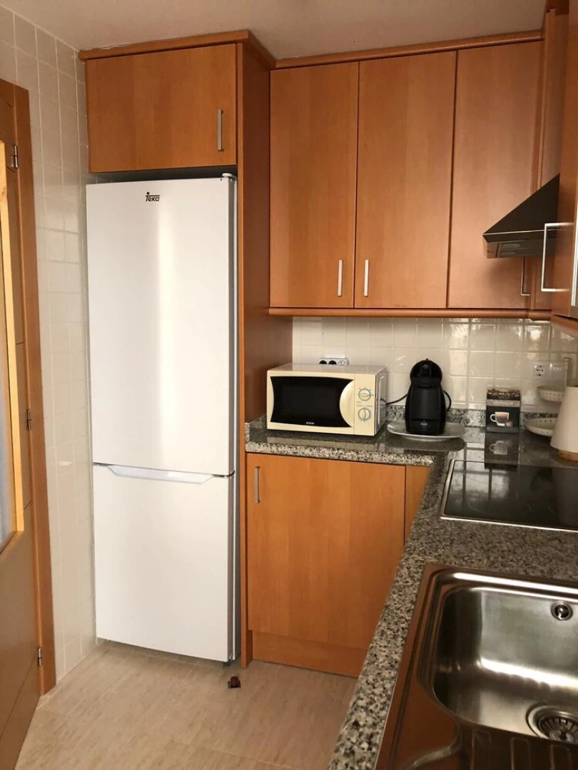 Torreblanca - Palmeral II