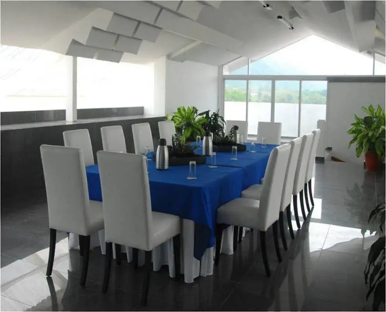 Hotel Casa del Arbol