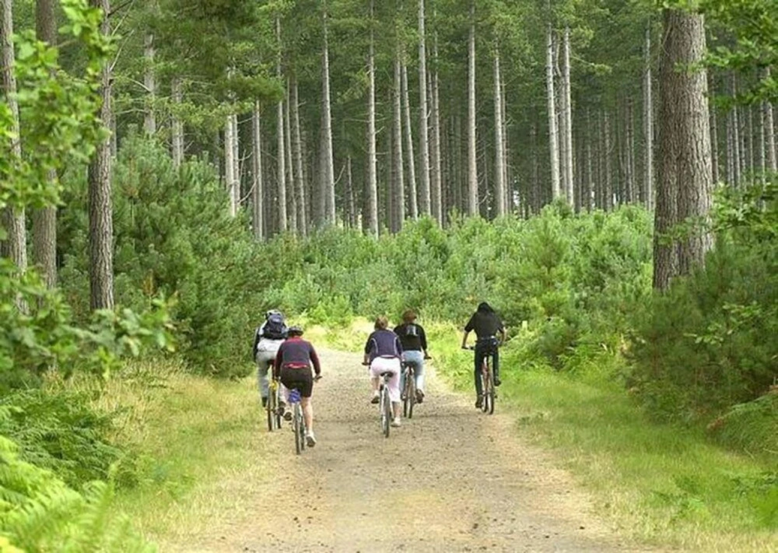 Secluded country house gem with swimming pool & tennis court