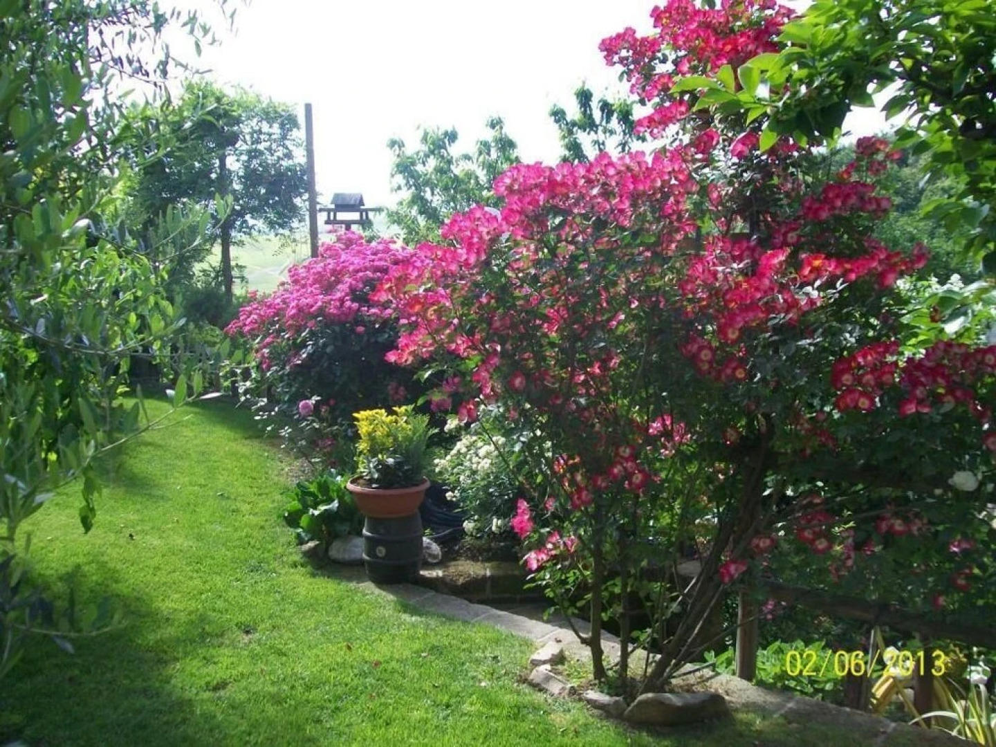 Il Bosco Delle Torte