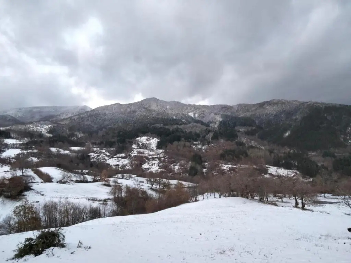 La Sala Vecchia - Lovely Tuscan Holiday house Badia Prataglia, Casentino Valley