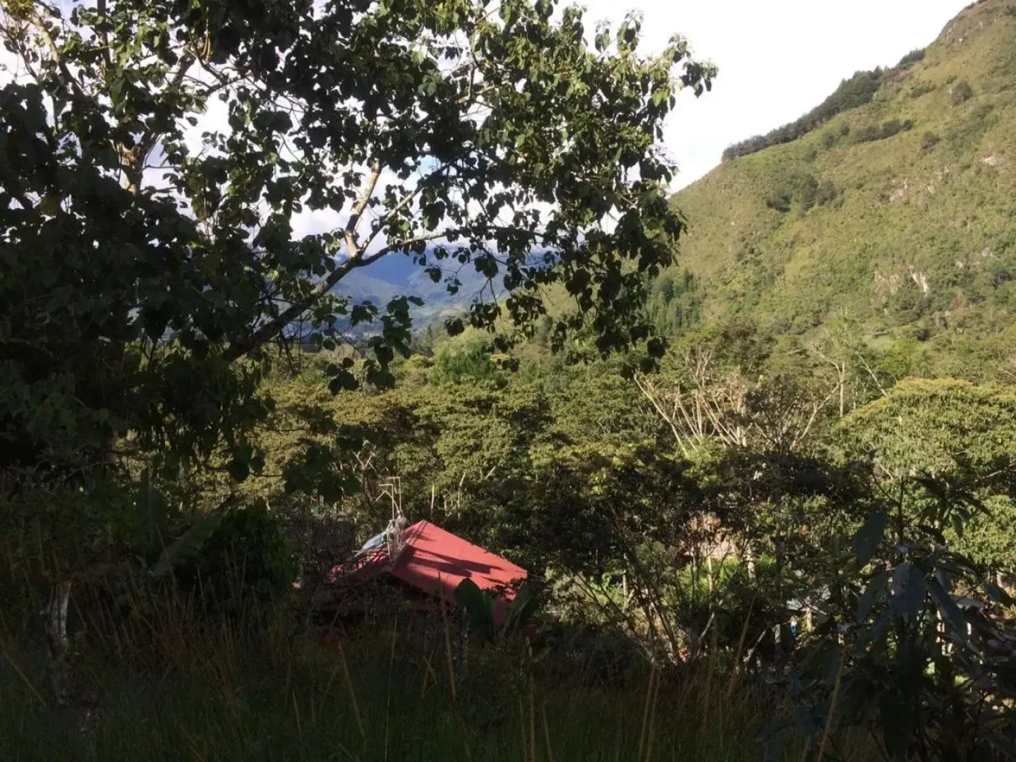 Illariy Tampu Ecoalbergue