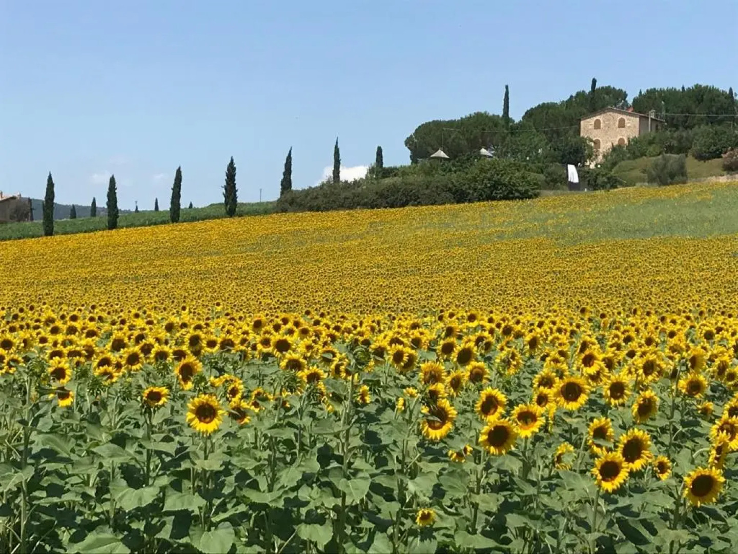 Il Vecchio Seccatoio