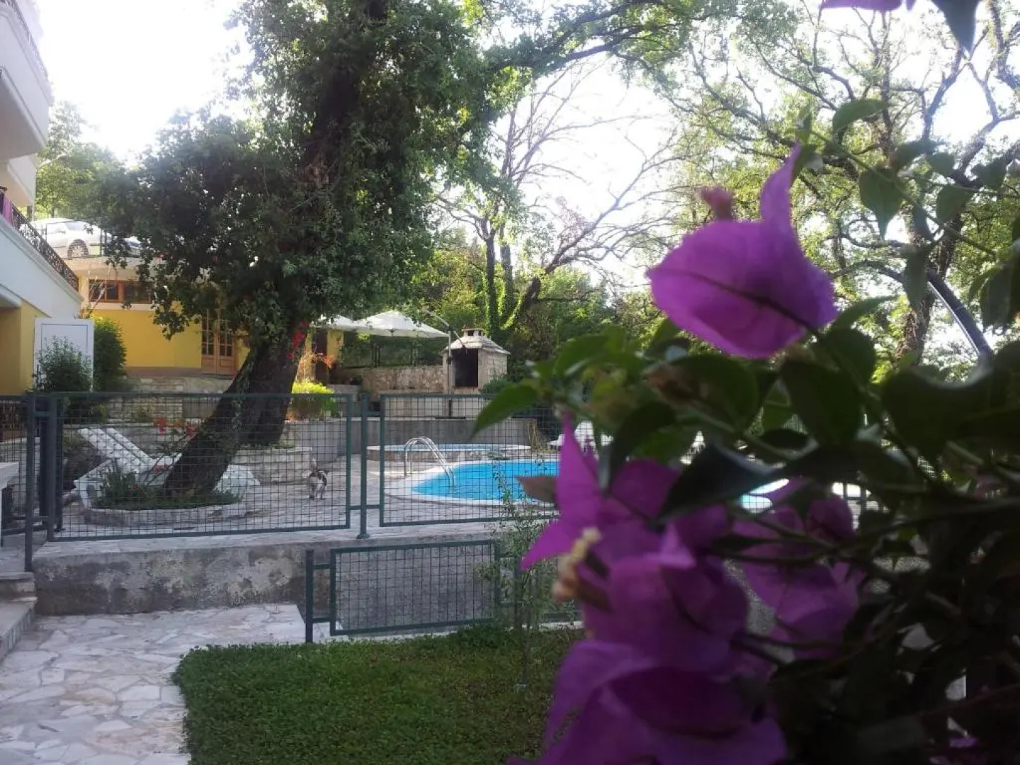 Apartments Miljan i Ranko