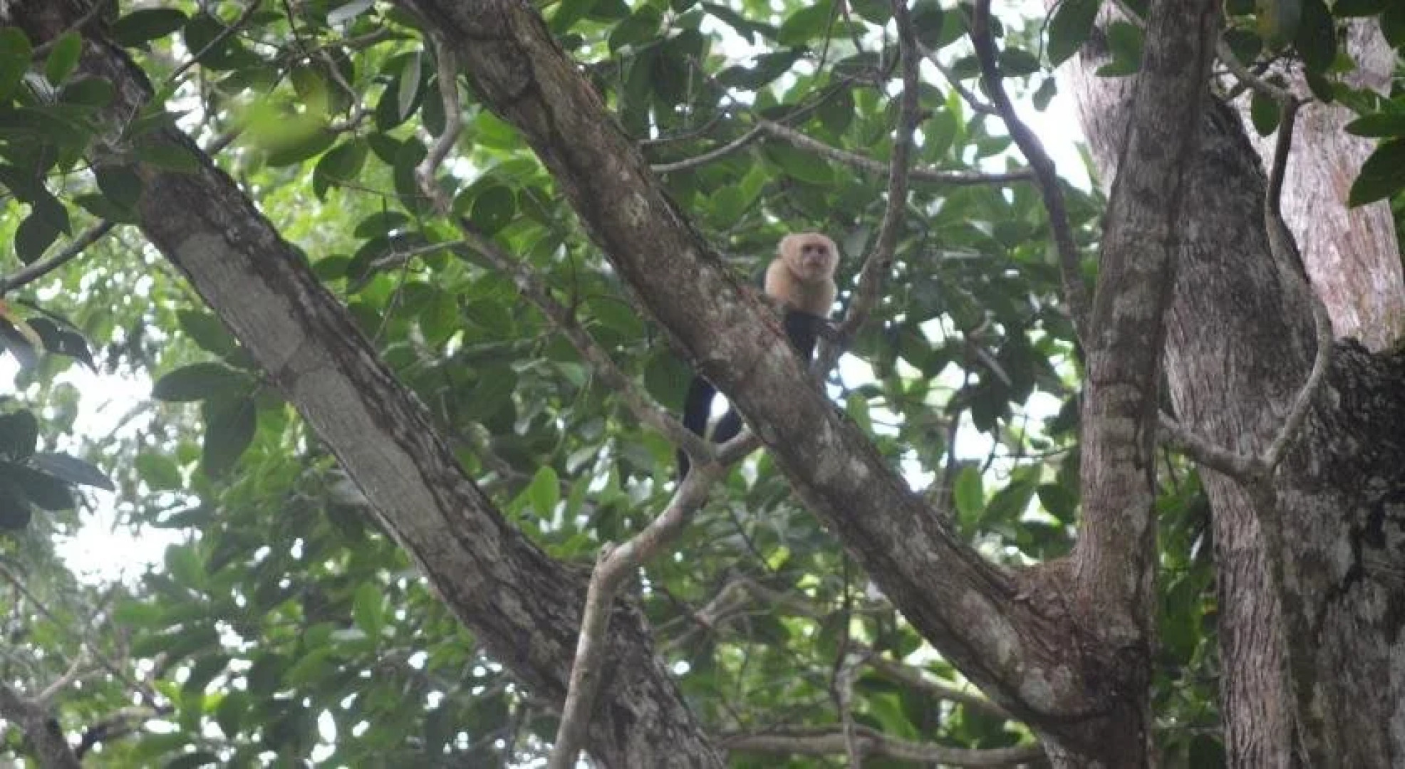 Manoas Luxury Camping and Villa Rentals