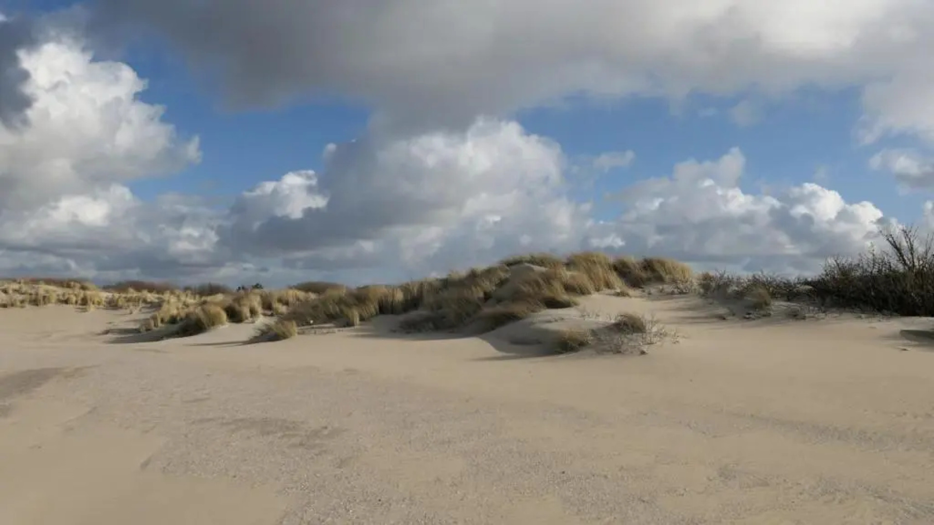 Vakantiehuisje Golfslag