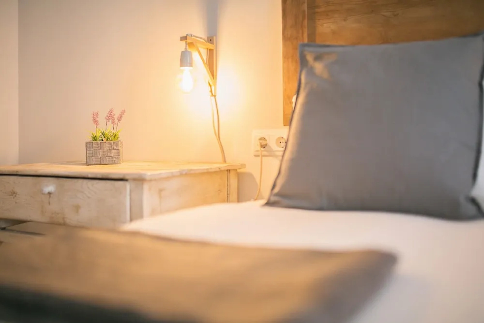 Apartamentos Força 1901