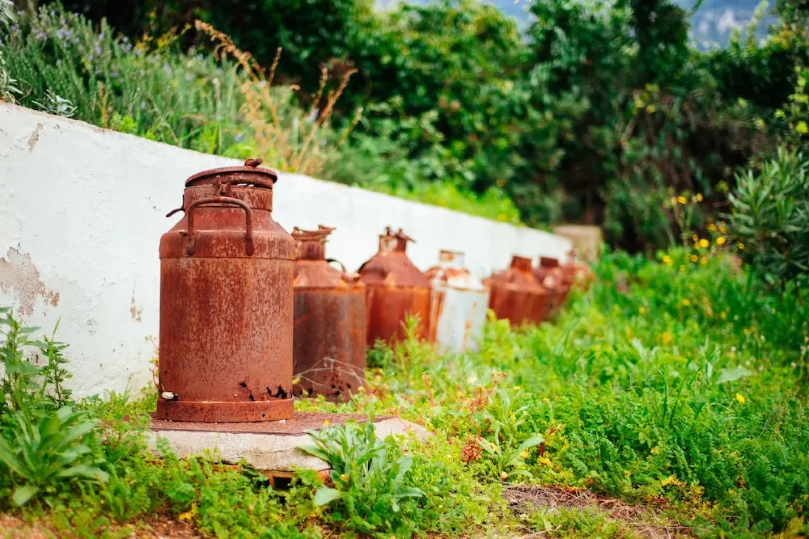 Agriturismo Camisadu