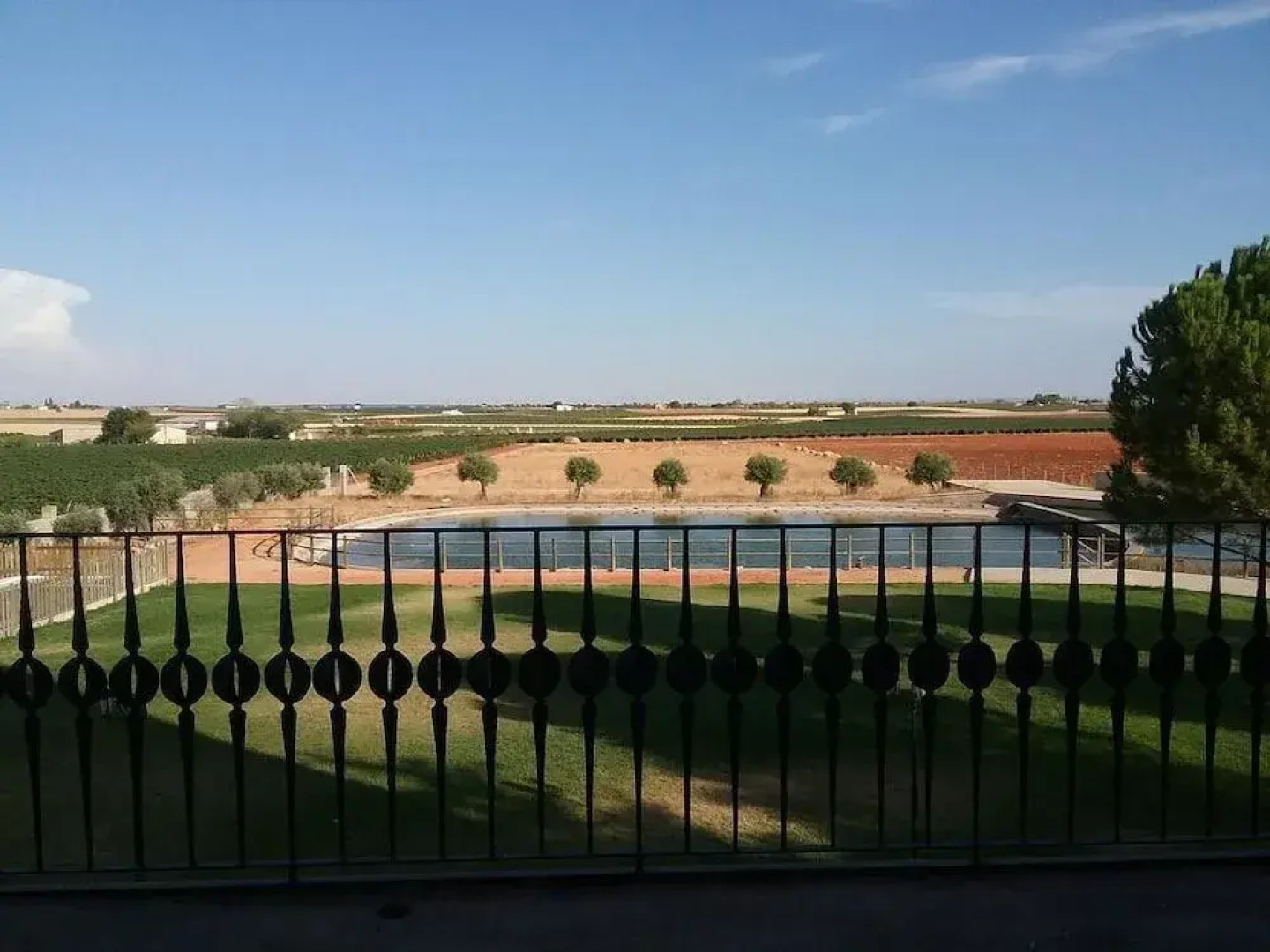 Hotel Viñedos y Bodegas El Castillo