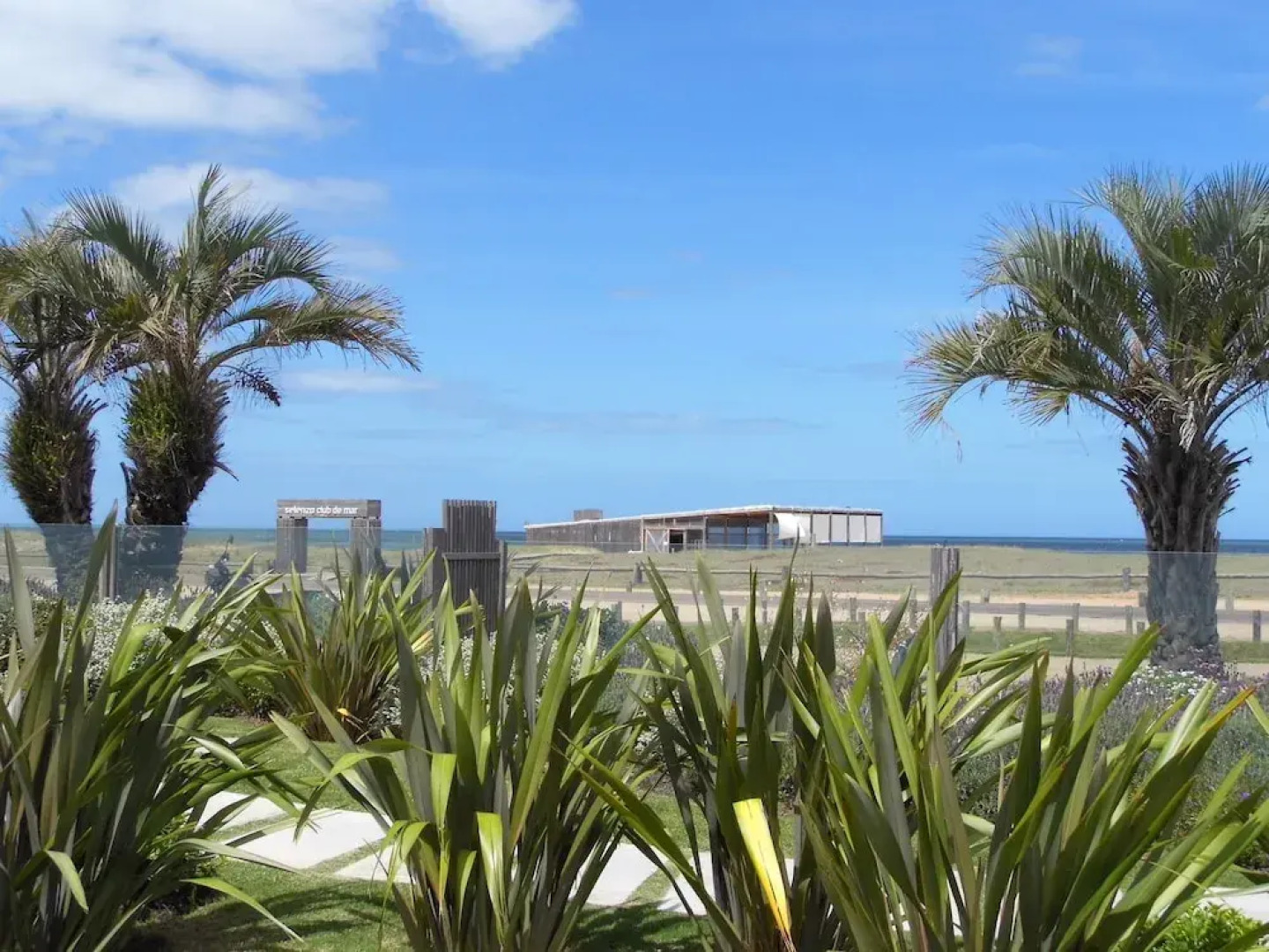 Selenza Espectacular