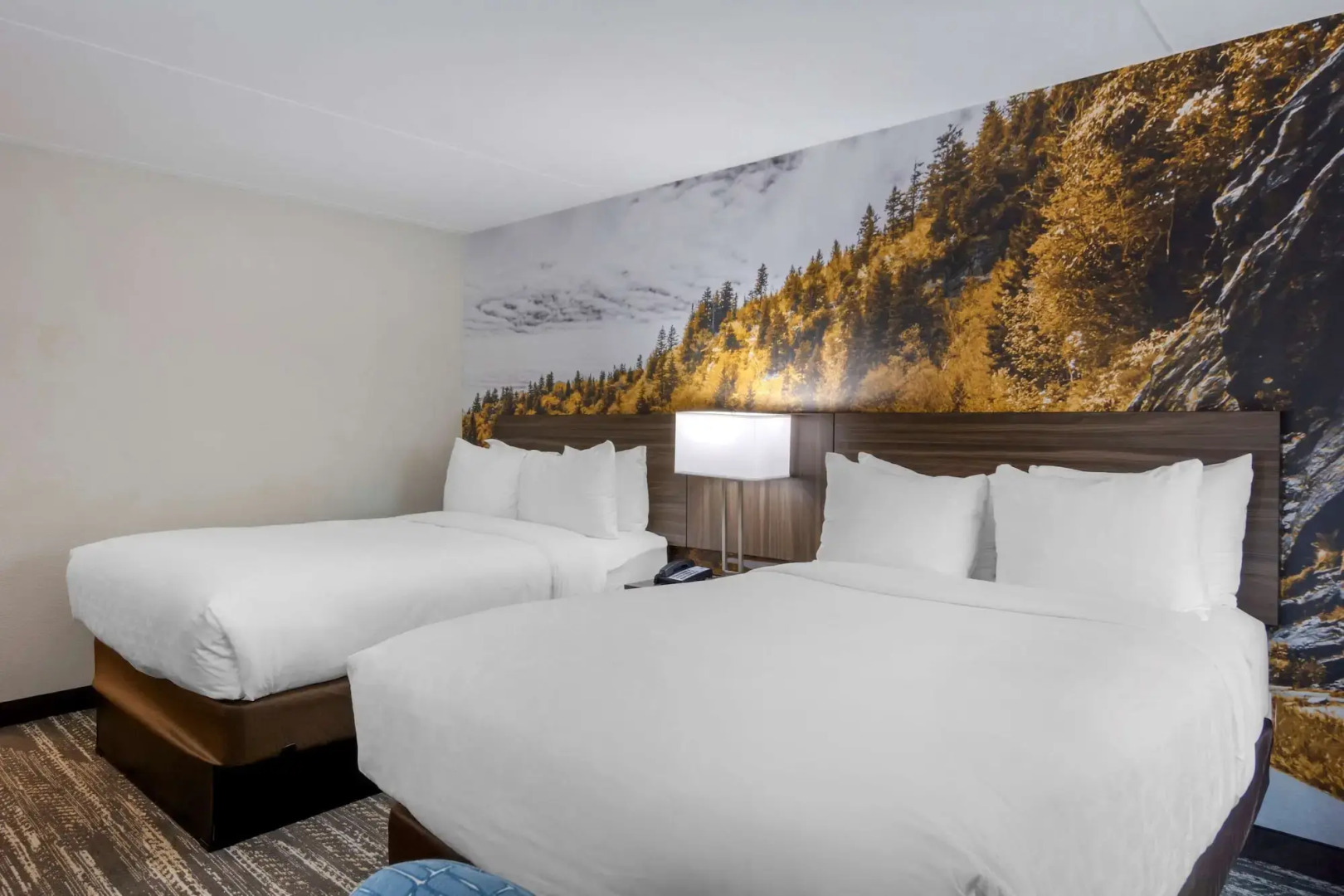 Comfort Inn University