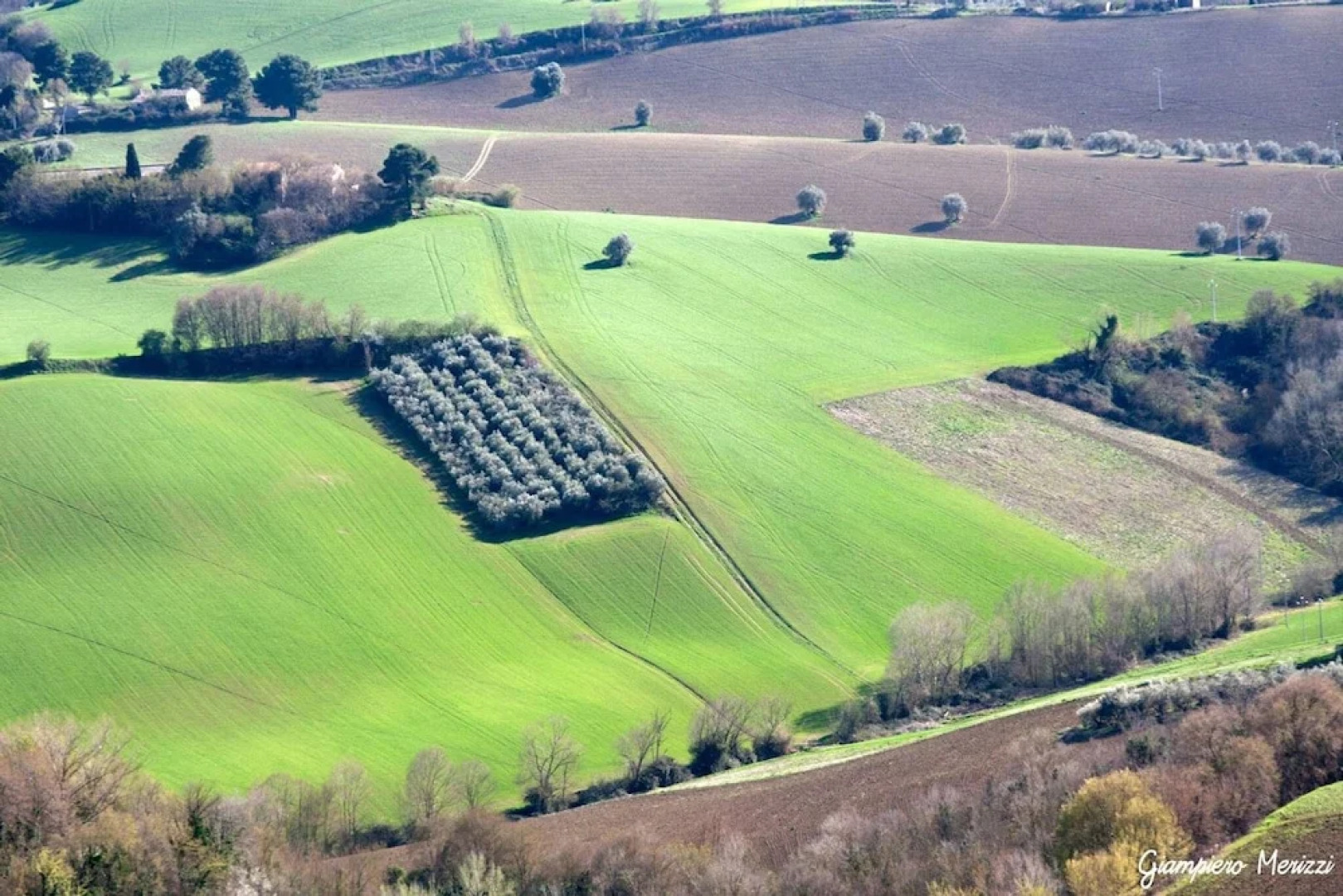 Dimora Del Padronedi Vasti Terreni a Mezzadria