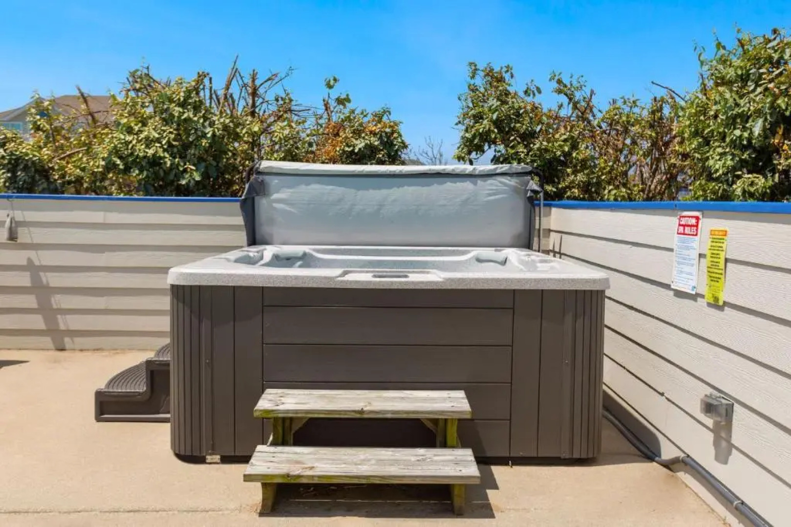 1240 Whale Song I Ocean View