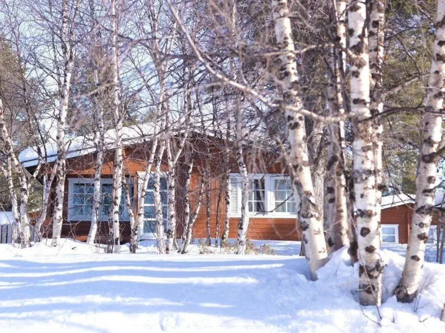 Davvi Arctic Lodge