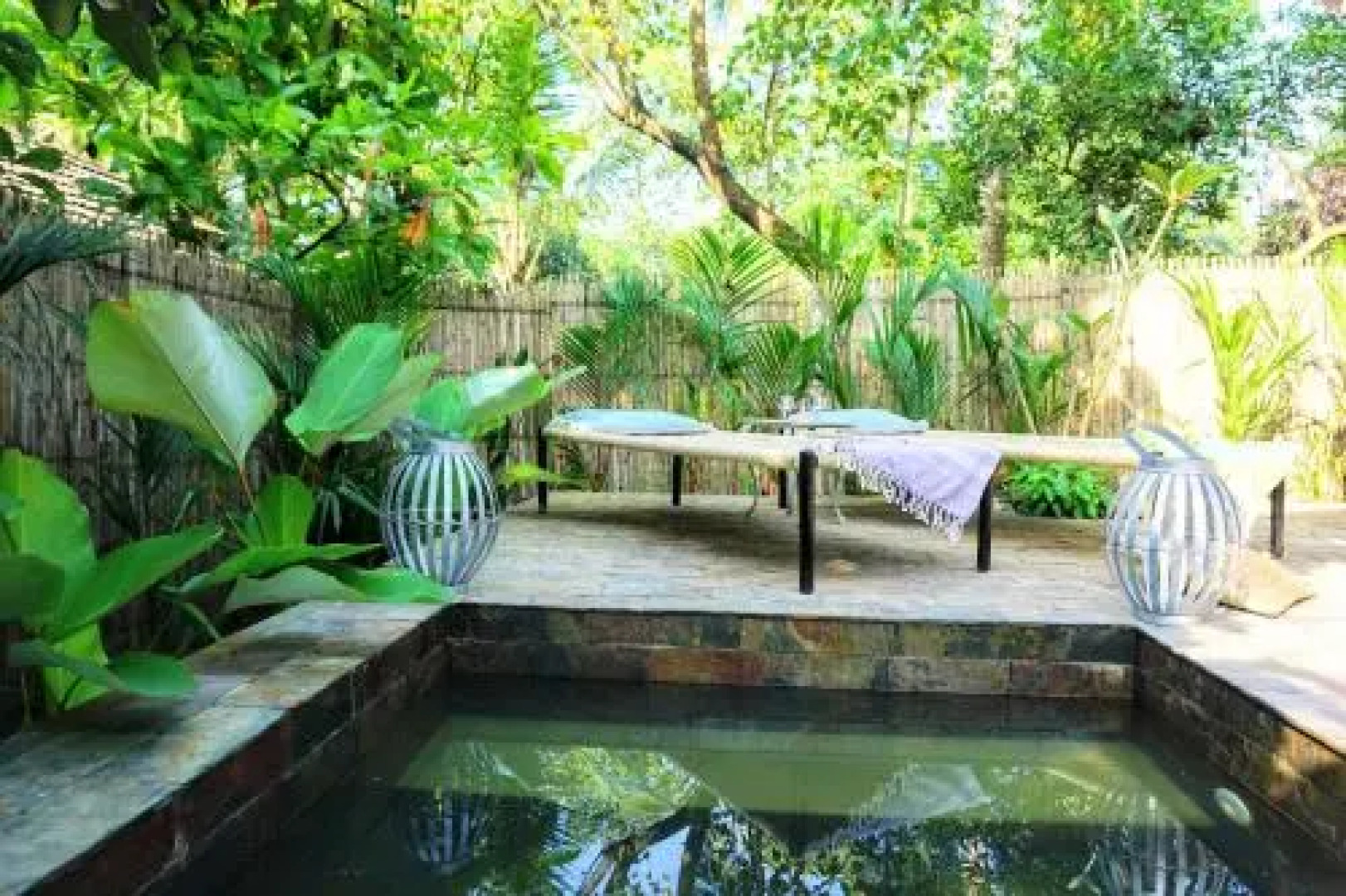 Sunsets and Palm Trees