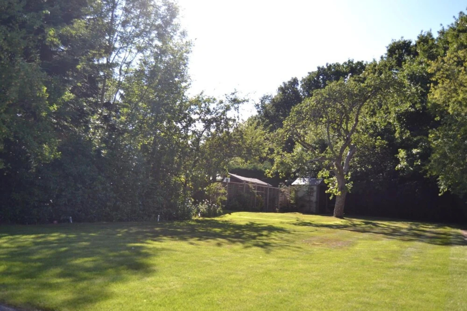 Leafy Suburban Bed & Breakfast