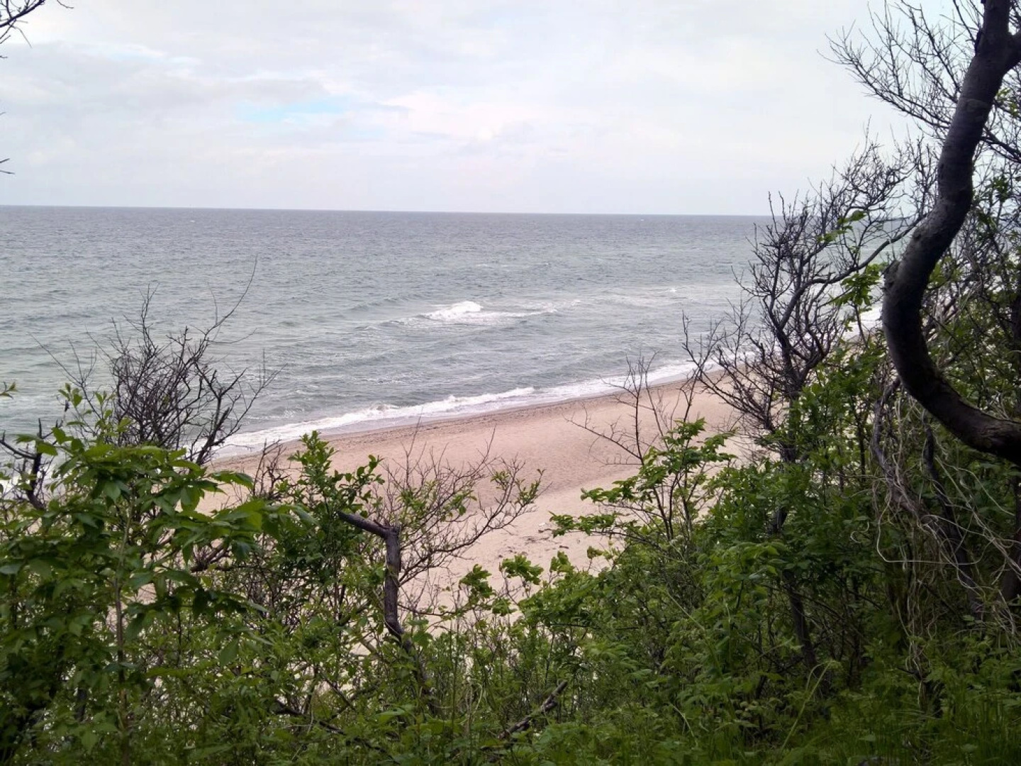 Spacious Holiday Home in Rerik With Sauna