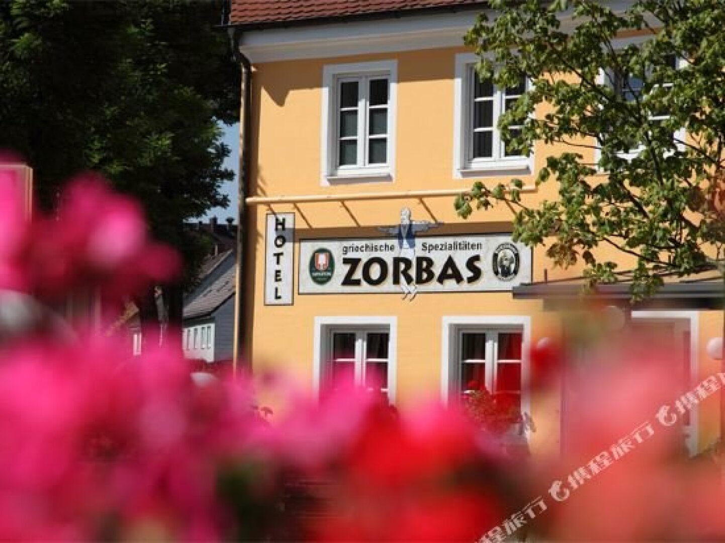 Zorbas