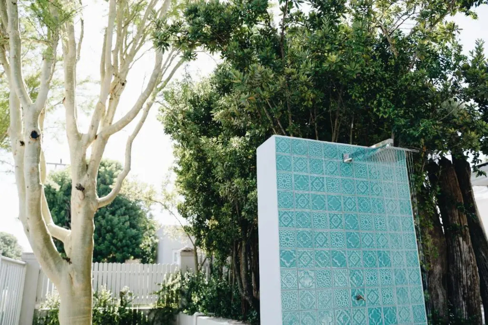 Driftwood - Kenton on Sea