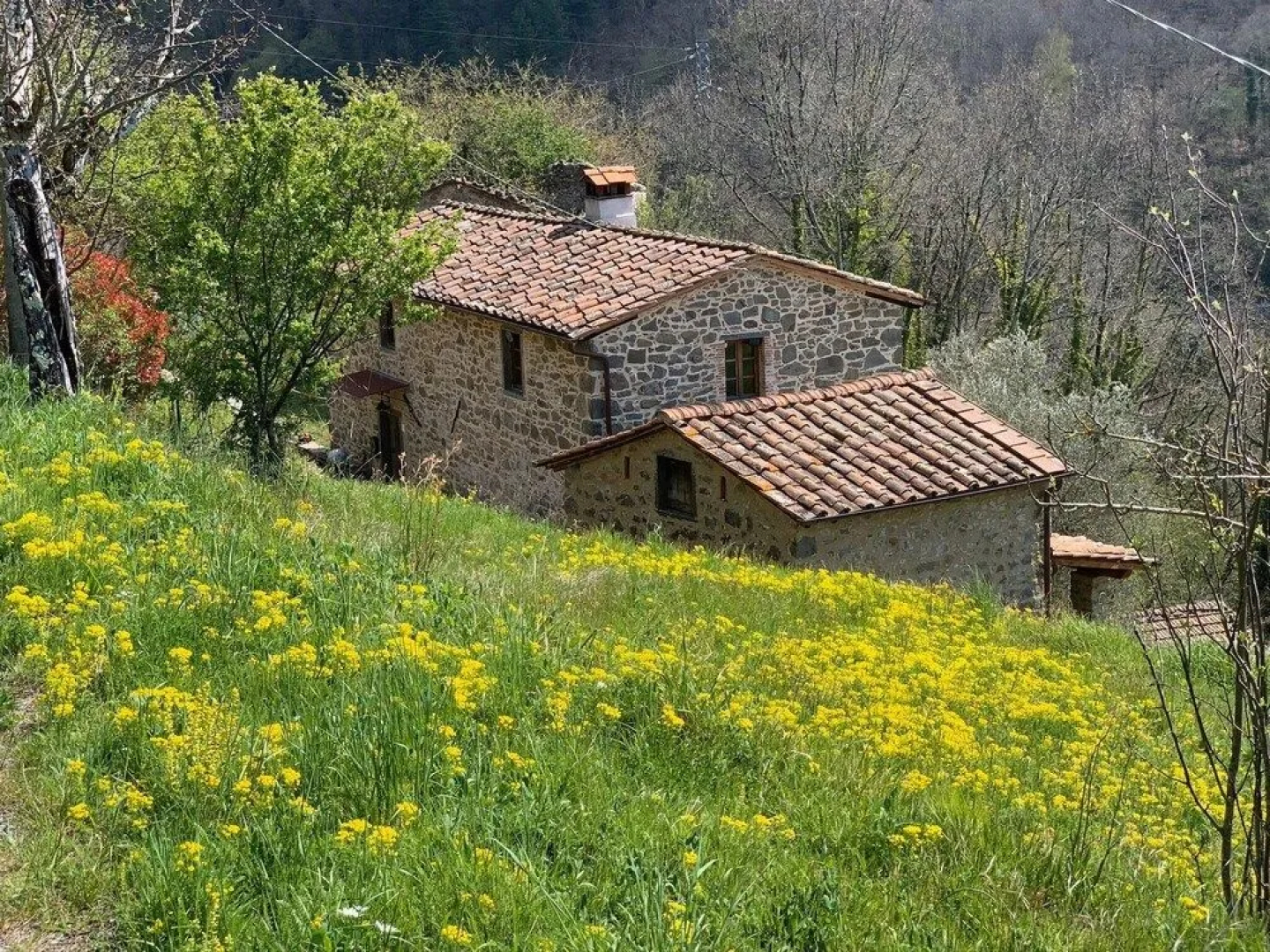 Leon Morto B&B