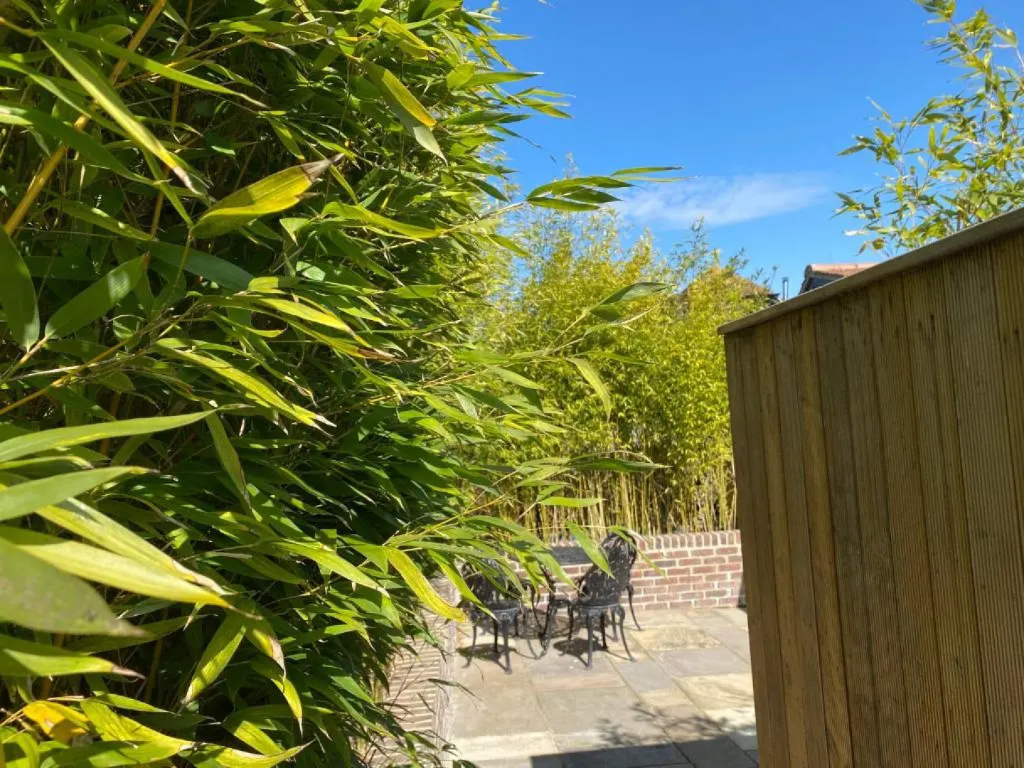 Amber Lodge Hickstead-B