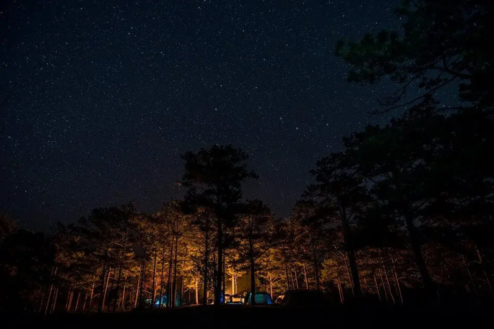 Bidoup - Nui Ba National Park
