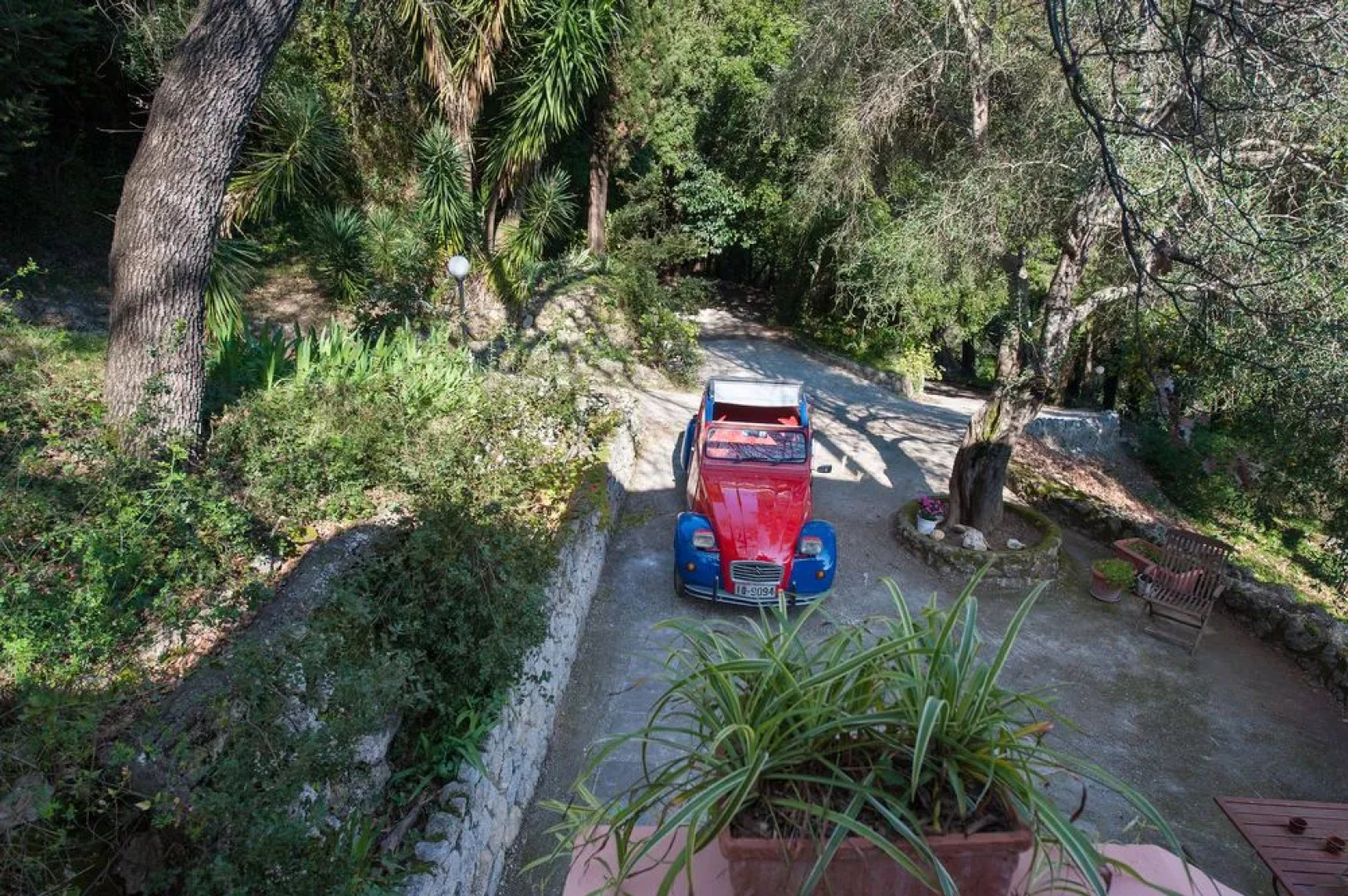 Wildrose Corfu Apartments