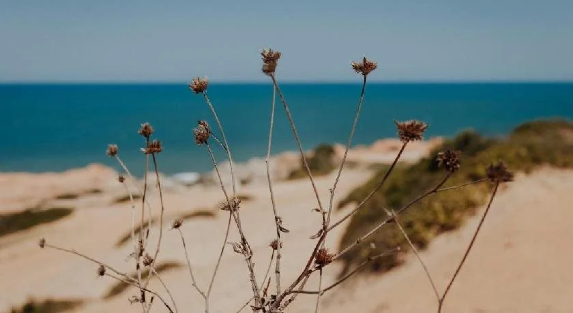 Pousada Marina Praia