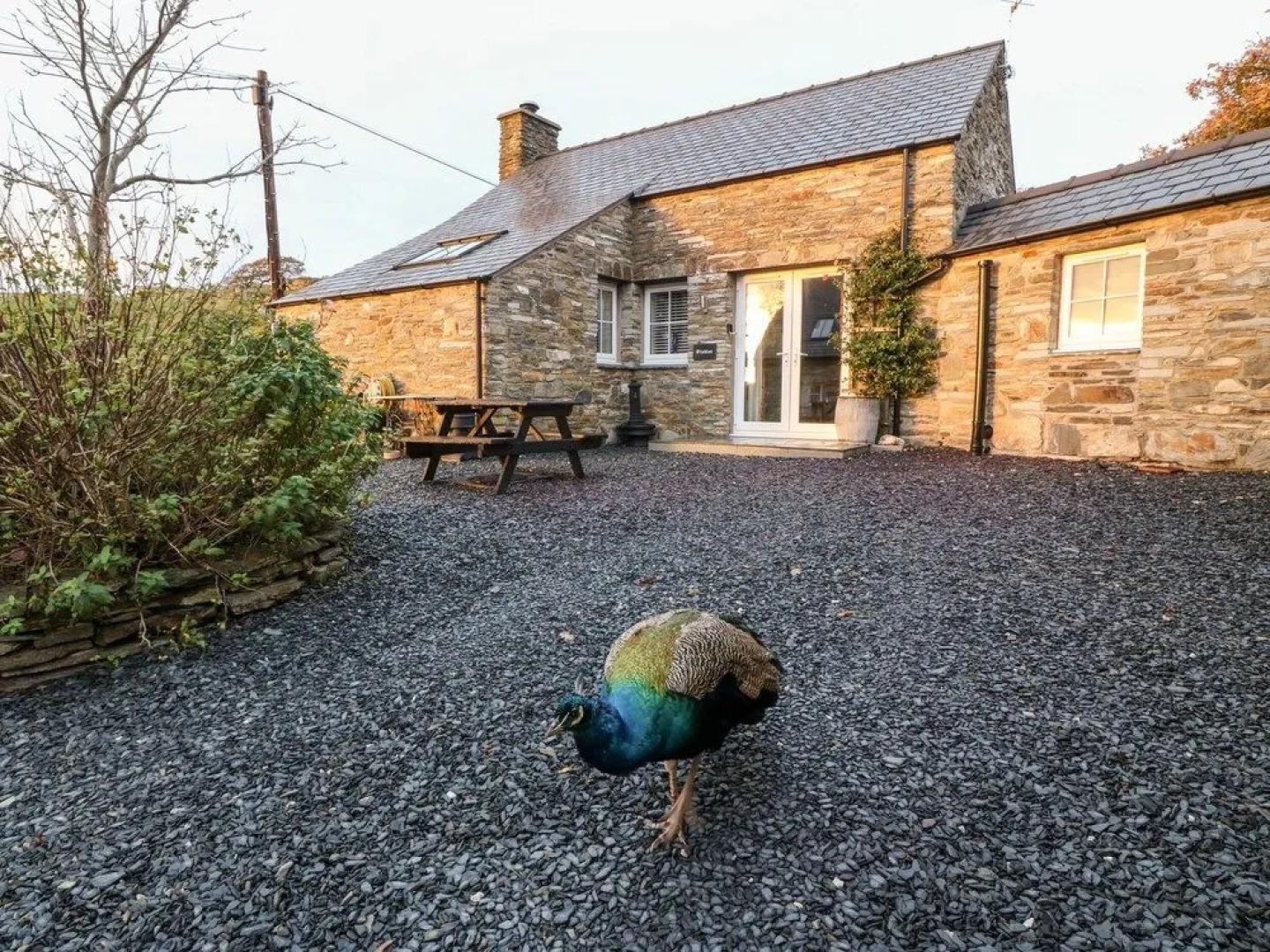 Garth Morthin The Stables