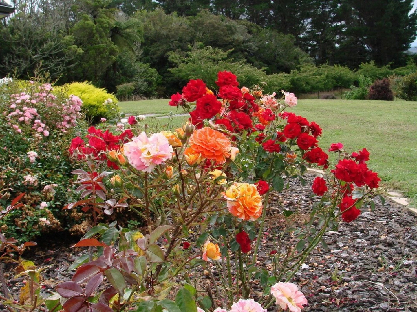 Millers Haven Homestay