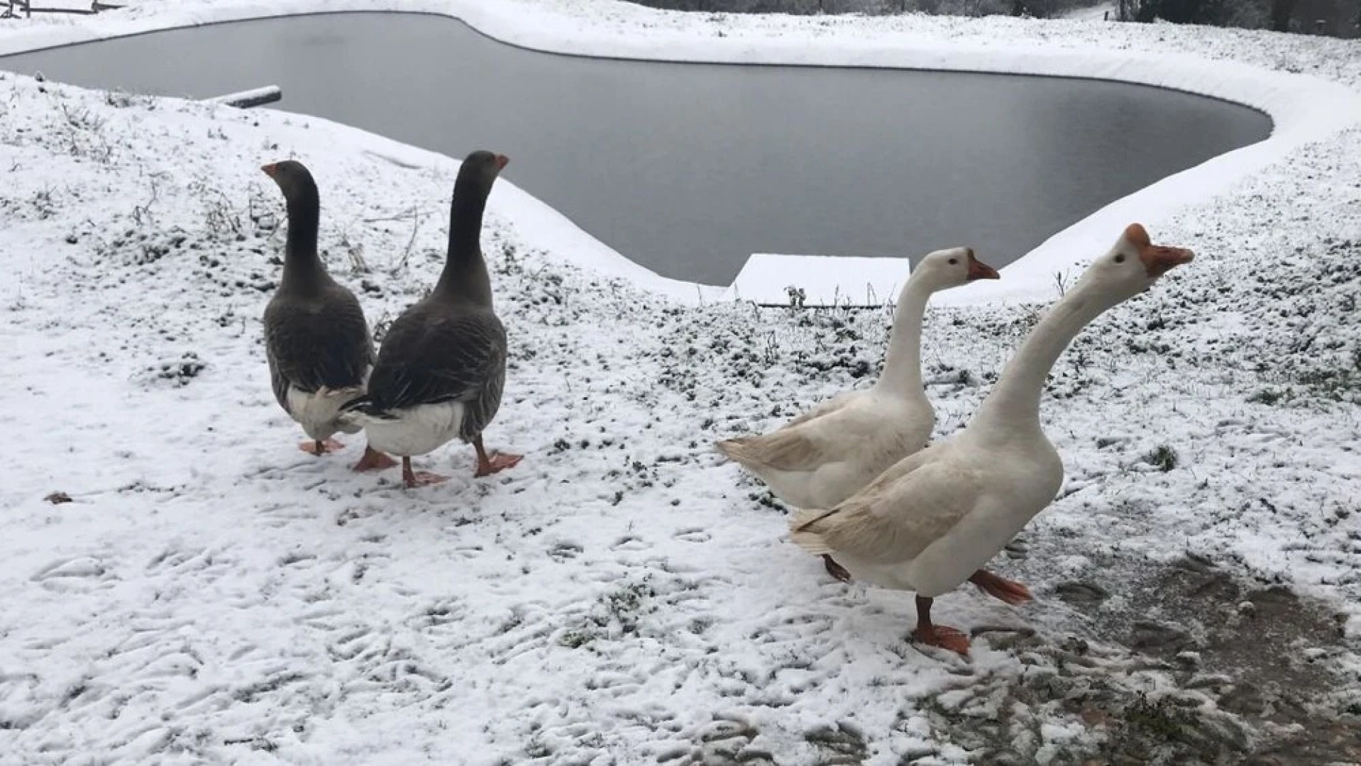 La Ferme Des Vergnes