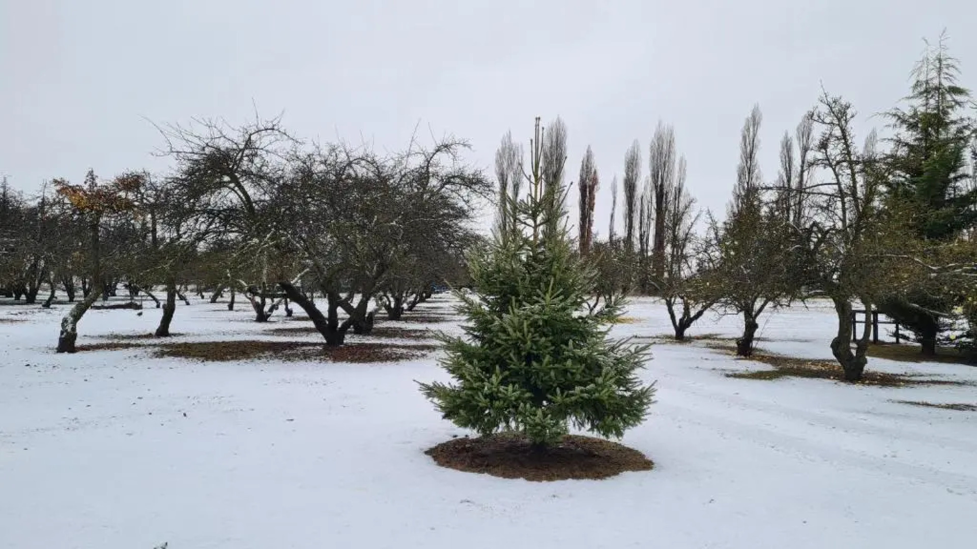 The Orchard House, Wanaka