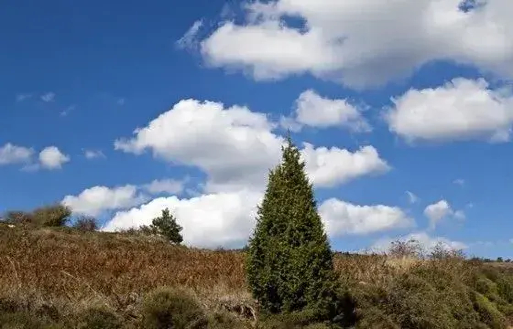 Meterizi Guest House