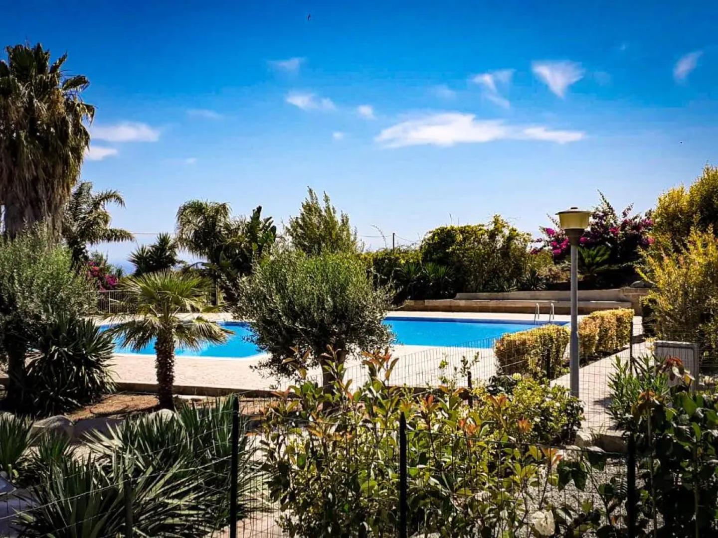 Apollo e Dafne near Tropea