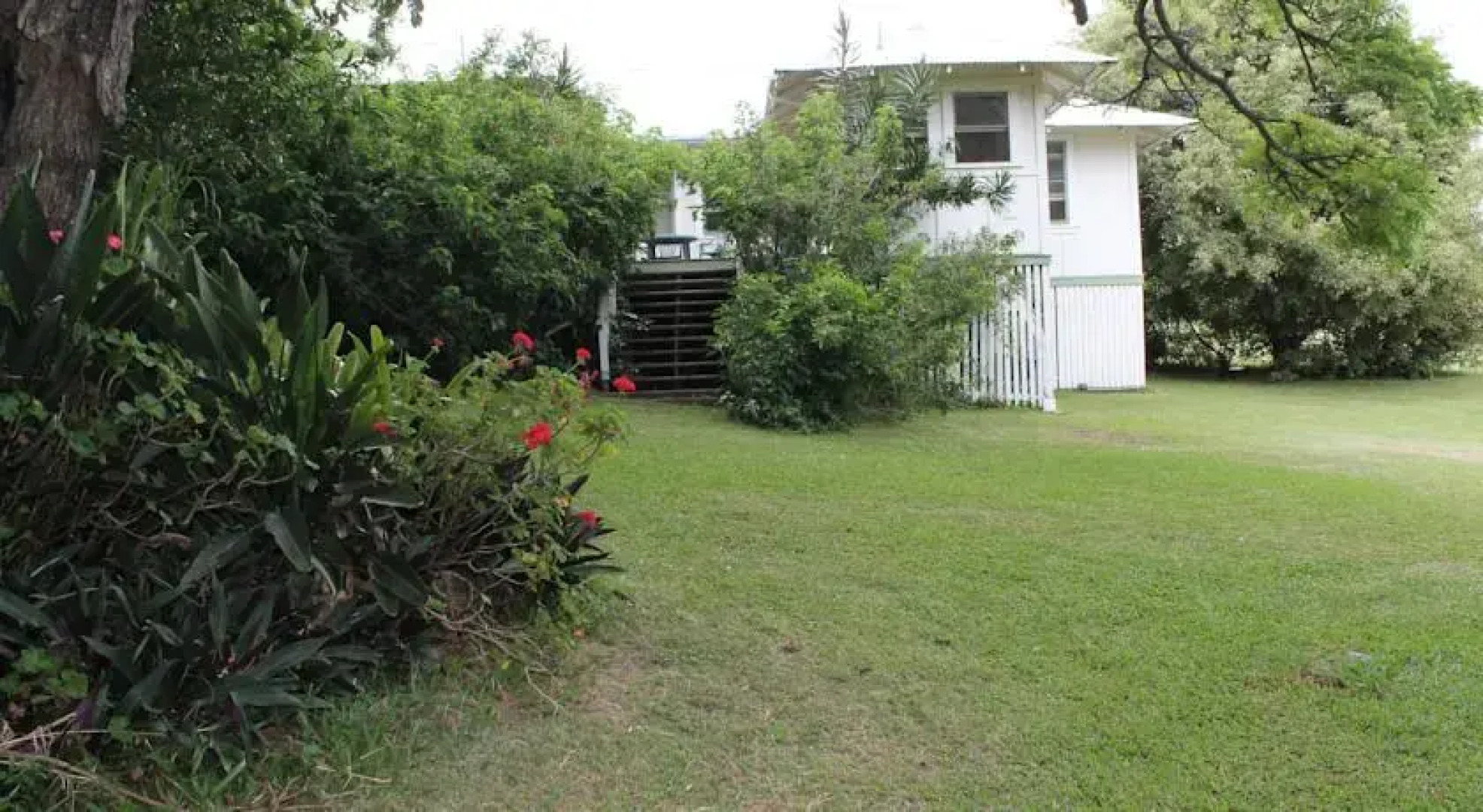 Ohia at Pahala Plantation Cottages
