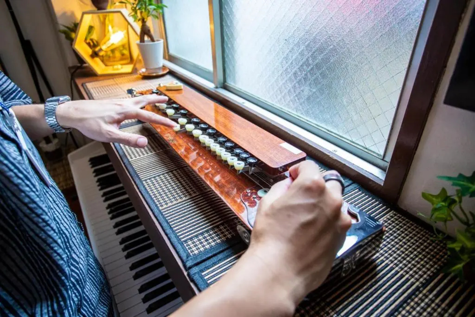 Peace House Sachi - Hostel