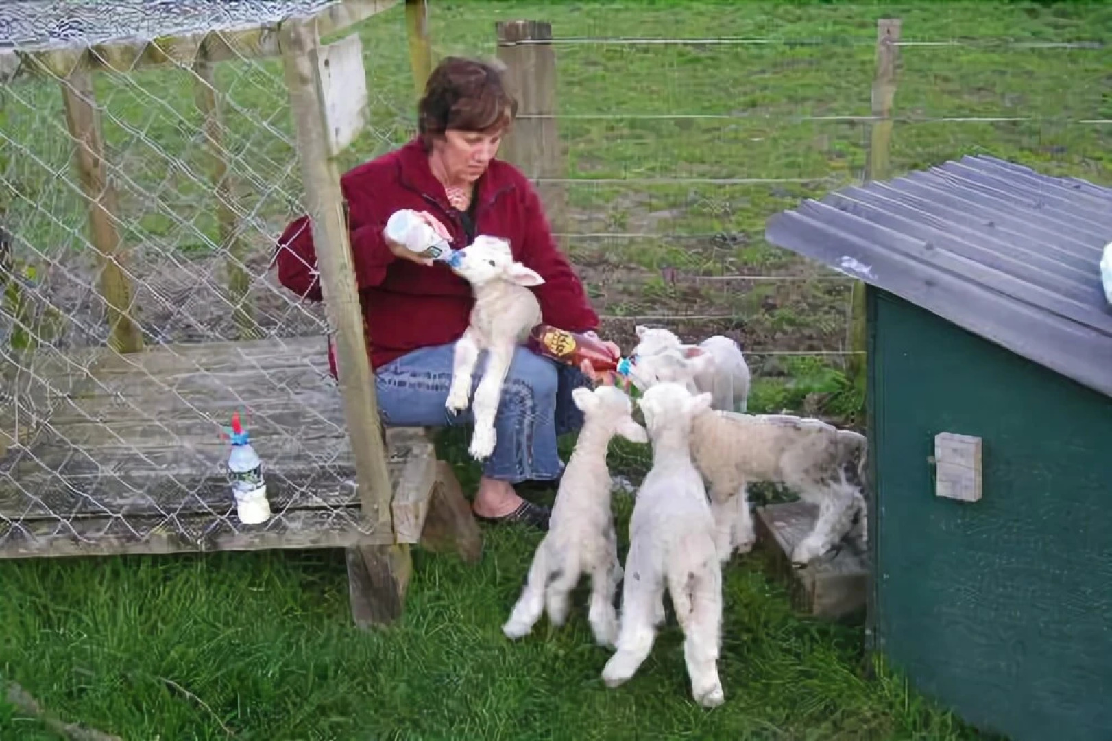 A Panoramic Country Homestay