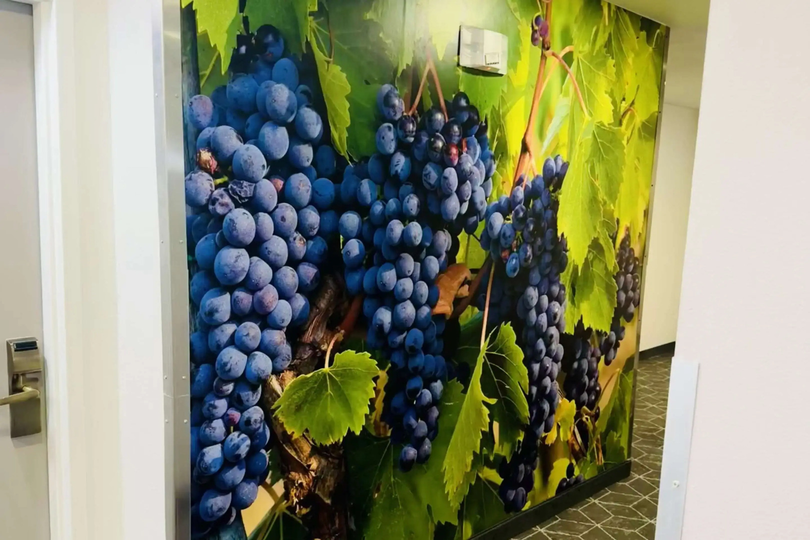 Sleep Inn and Suites