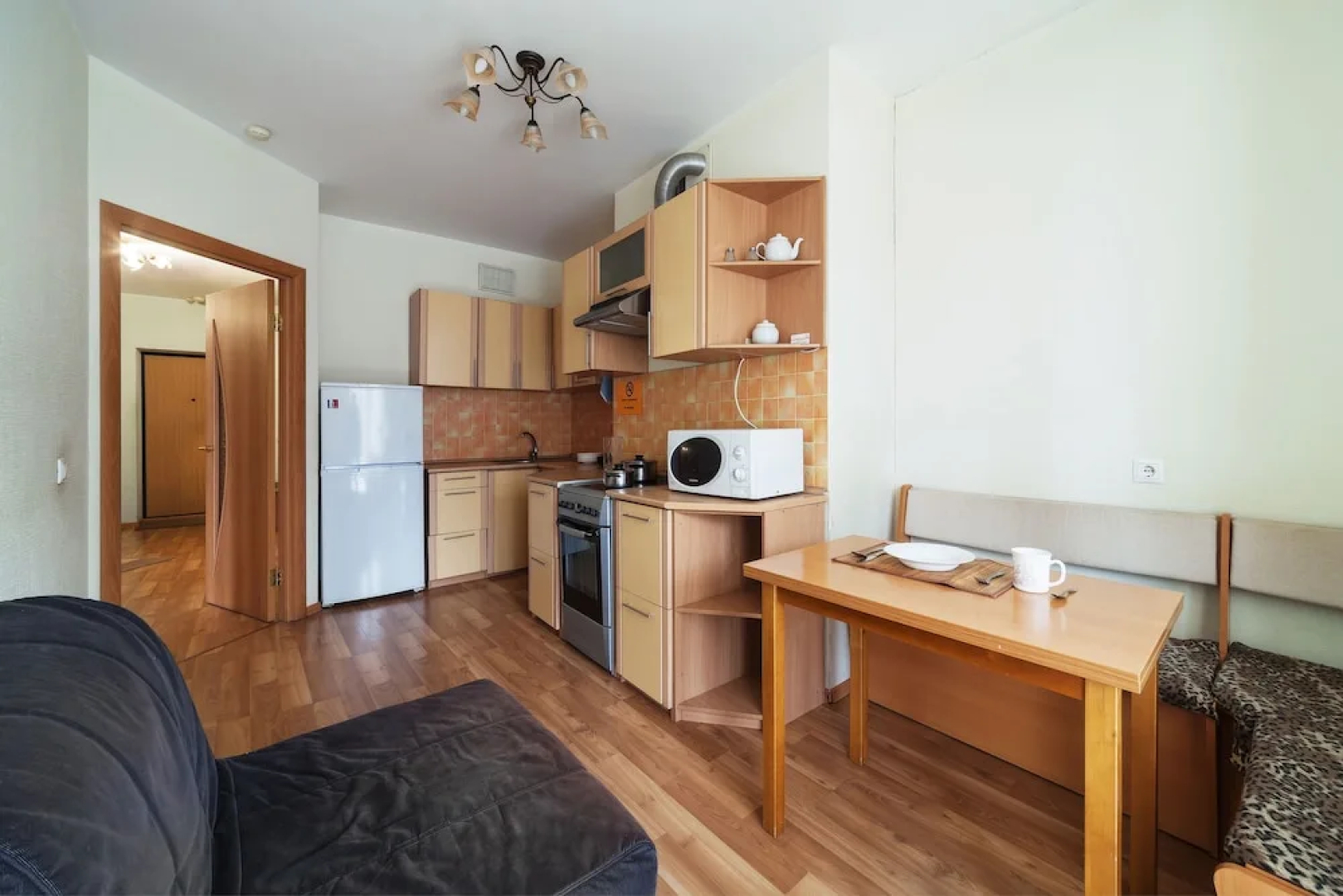 Apartment ALLiS-HALL on Radishcheva 33