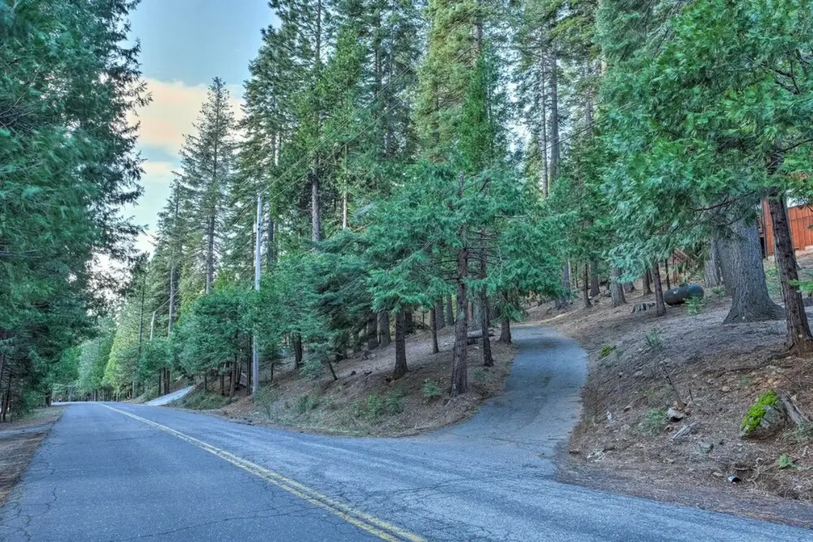 4 Mi to Big Tree State Park: Serene Cabin w/ Deck