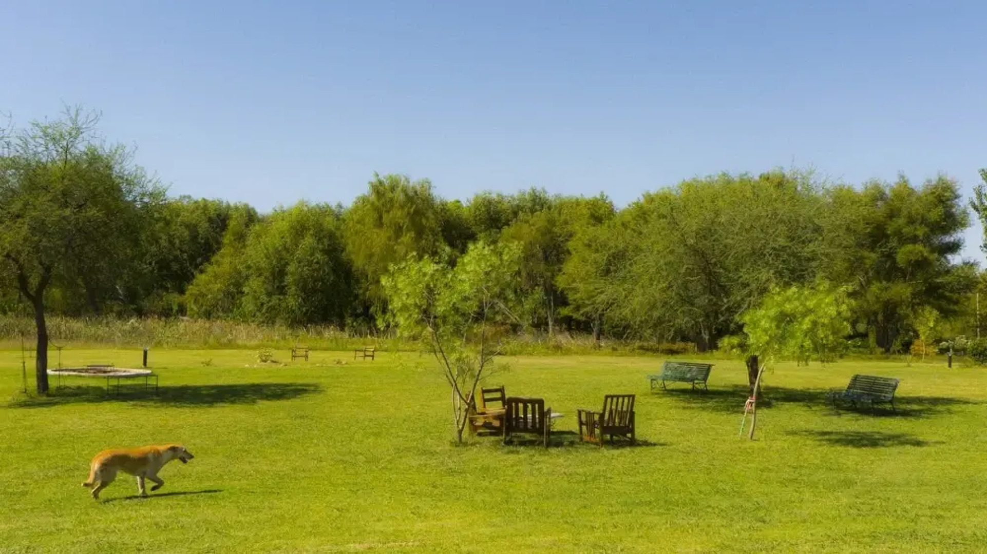 Posada de Campo Los Azahares