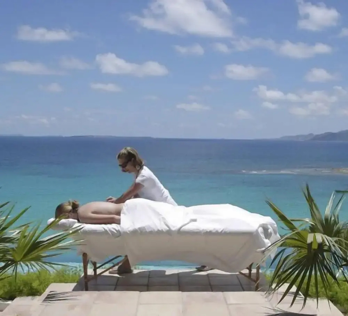 Anguilla's Bird of Paradise