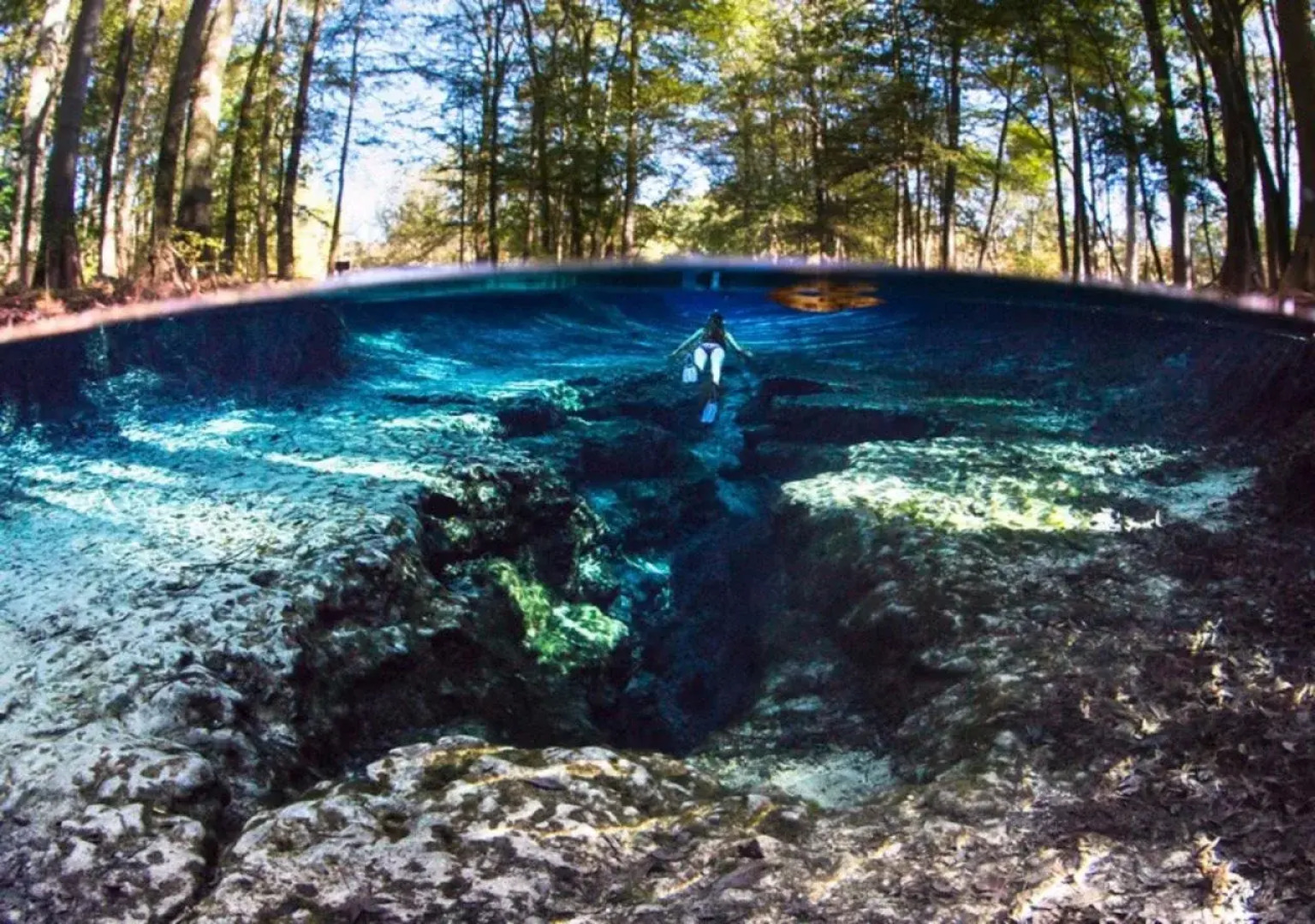 Holiday Inn Express & Suites Alachua - Gainesville Area by IHG