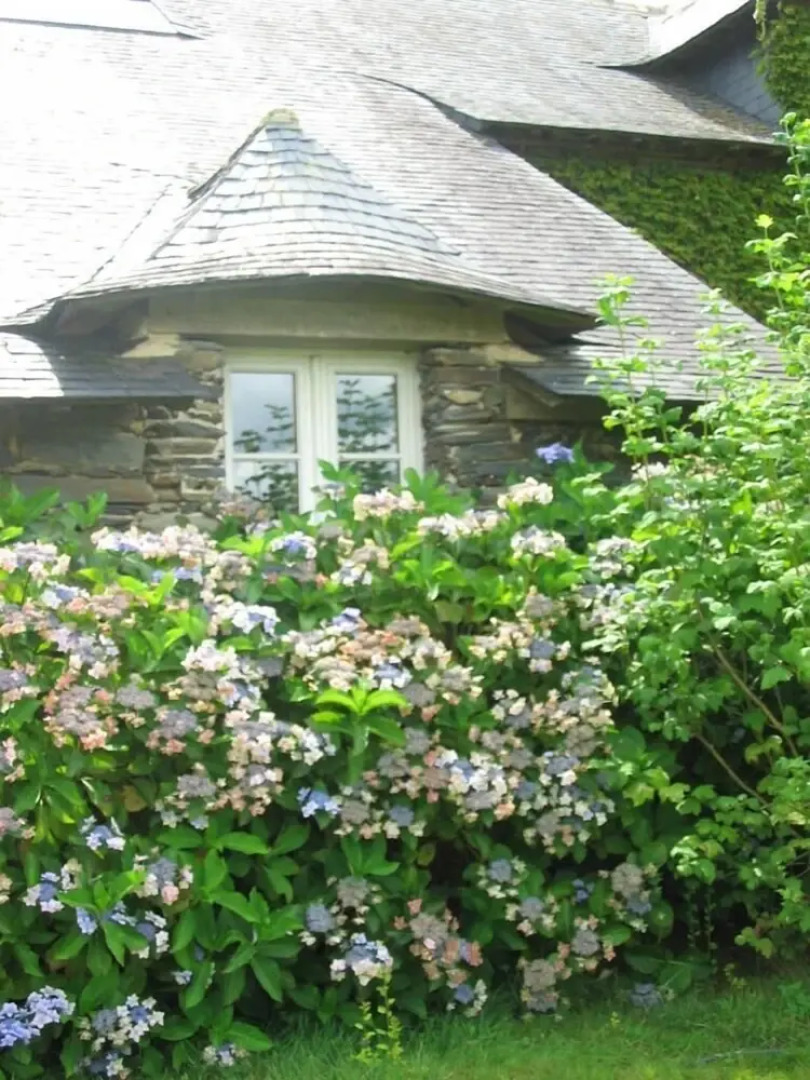 Chambres d'hotes la Merais