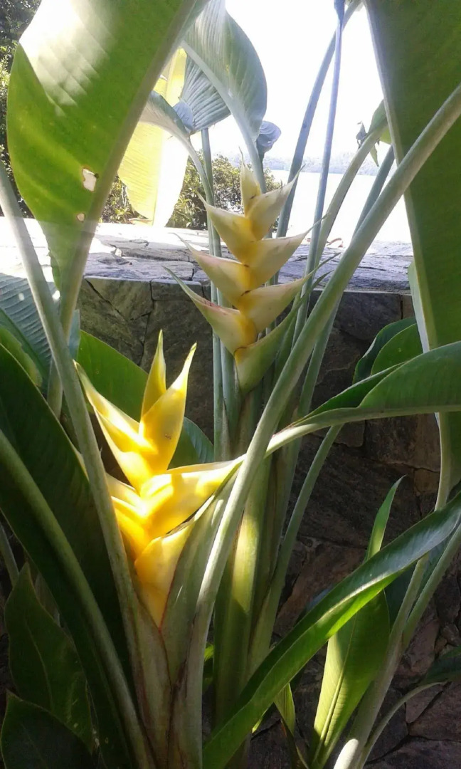 Sea Heart House on Koggala Lake